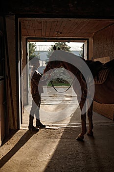 Woman caressing her horse while standing over stable gate