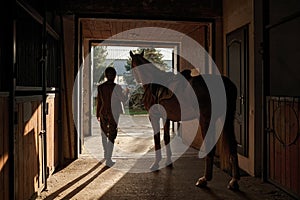 Woman caressing her horse while standing over stable gate