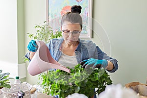 Woman caring for indoor plants, hobbies and leisure, nature in the house photo