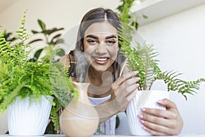 Woman caring for plants next to steam aroma oil diffuser on the table at home, steam from humidifier. Humidification of air in