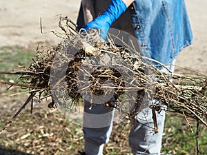 A woman carries dried plants on a pitchfork. General cleaning of the territory from debris and last year`s dried plants.The