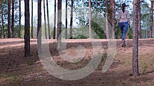 Woman carries felled trees to a forest scout`s camp for firewood, back view.