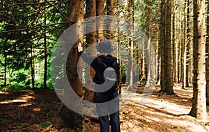 Woman in casual clothes touches the trunk of a coniferous derea while walking in the woods on a sunny summer day  view from the