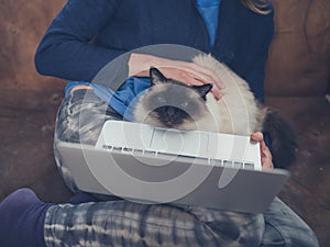 Woman with cat and laptop