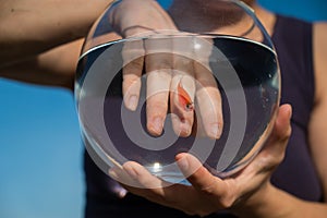 A woman catches a goldfish with her hand from a round aquarium.