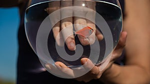 A woman catches a goldfish with her hand from a round aquarium.