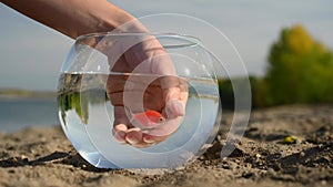 Woman catching a goldfish in a round aquarium on the beach.
