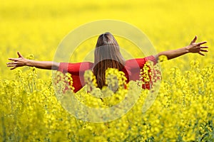 Woman celebrating stretching arms in a yellow field