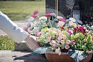 Una donna sul cimitero Dare fiori sul soleggiato 