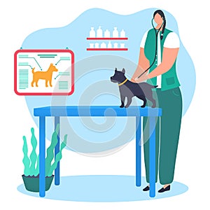 Woman character doctor veterinarian hold stethoscope and treat pet dog, research hound disease cartoon vector