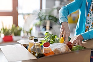 Woman checking her fresh food delivery