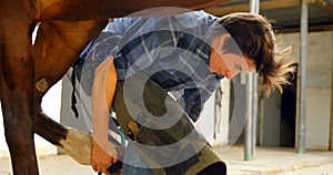 Woman checking horseshoes in horse leg 4k