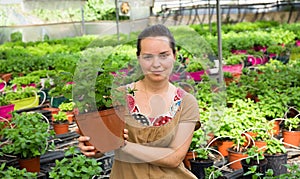 Woman checking mint in hothouse