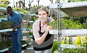Woman checking seedlings in hothouse