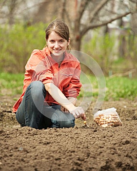 Woman checkrows set onion