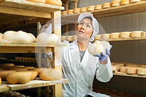 Woman cheesemaker checking aging process of cheese in maturing chamber