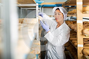 Woman cheesemaker checking aging process of cheese in maturing chamber
