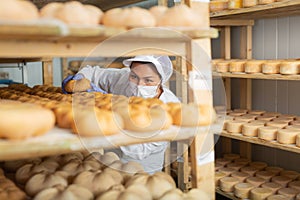 Woman cheesemaker in mask checking aging process of goat cheese