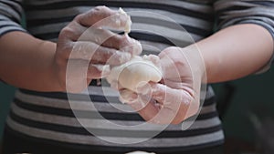 Woman chef hands doing make Chinese dumplings or steamed Chinese bun with vegetables and minced pork. The dough is prepared for th