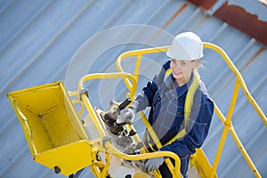 Woman in cherry picker bucket