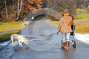 Woman with child and dog walking in park