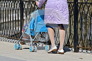 A woman with a child in a stroller walks along the fence. Fragment