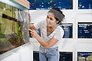 Woman choosing aquarium fish at pet shop