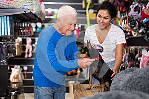 Woman choosing collar for her dog in pet shop