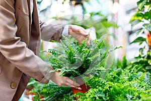 Woman choosing potted plants -lush Nephrolepis fern for her home/apartment in a greenhouse or flower store, selective soft focus