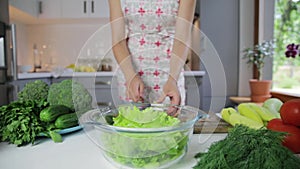 Woman chopping green vegetables for detox smoothie at home. Healthy eating, vegetarian food, dieting