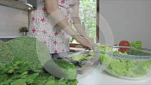 Woman chopping green vegetables for detox smoothie at home. Healthy eating, vegetarian food, dieting