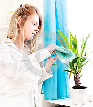 Woman clean leaves at home