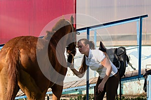 Woman cleaning horse with brush