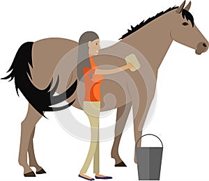 Woman cleaning horse vector icon isolated on white