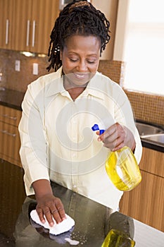 Woman Cleaning Kitchen Counter