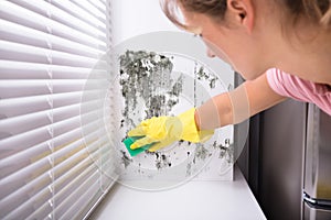 Woman Cleaning Mold From Wall