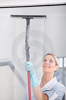 Woman Cleaning With Rubber Window Cleaner