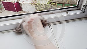 Woman cleaning a window with dirty cloth