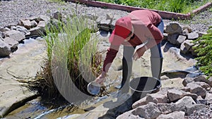 Woman cleans artificial garden fish pond from dirt and silt