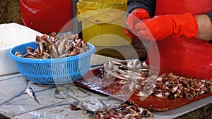 Woman Cleans and Cuts Fresh Fish in Fish Market