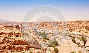 Woman on cliff looking at panoramique view