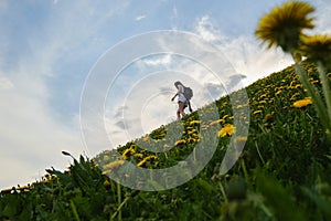 Woman climbs a hill along a path among flowers on a summer day