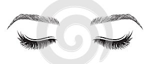 Woman Closed Eyes with Eyebrow and Lashes Isolated Illustration