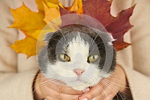 A woman in a coat hugs her cute cat with maple leaves