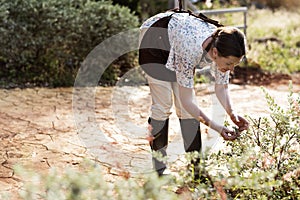 Woman collecting fresh herbs in her garden