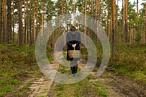 Woman collecting mushrooms in dark peaceful forest, escape from the city, mushroom harvest