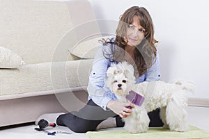 Woman combing and grooming a little dog