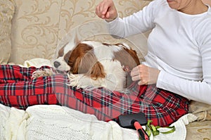 Woman Combing Her Dog