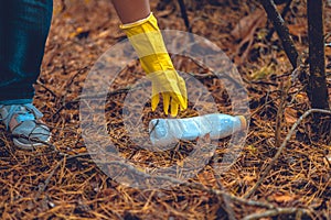 A woman conservationist collects garbage in the forest. A woman with a blue garbage bag in her hands collects plastic