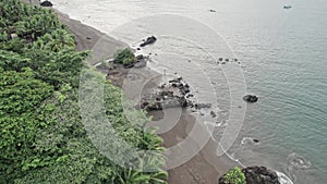 Woman contemplating the sea from topical beach